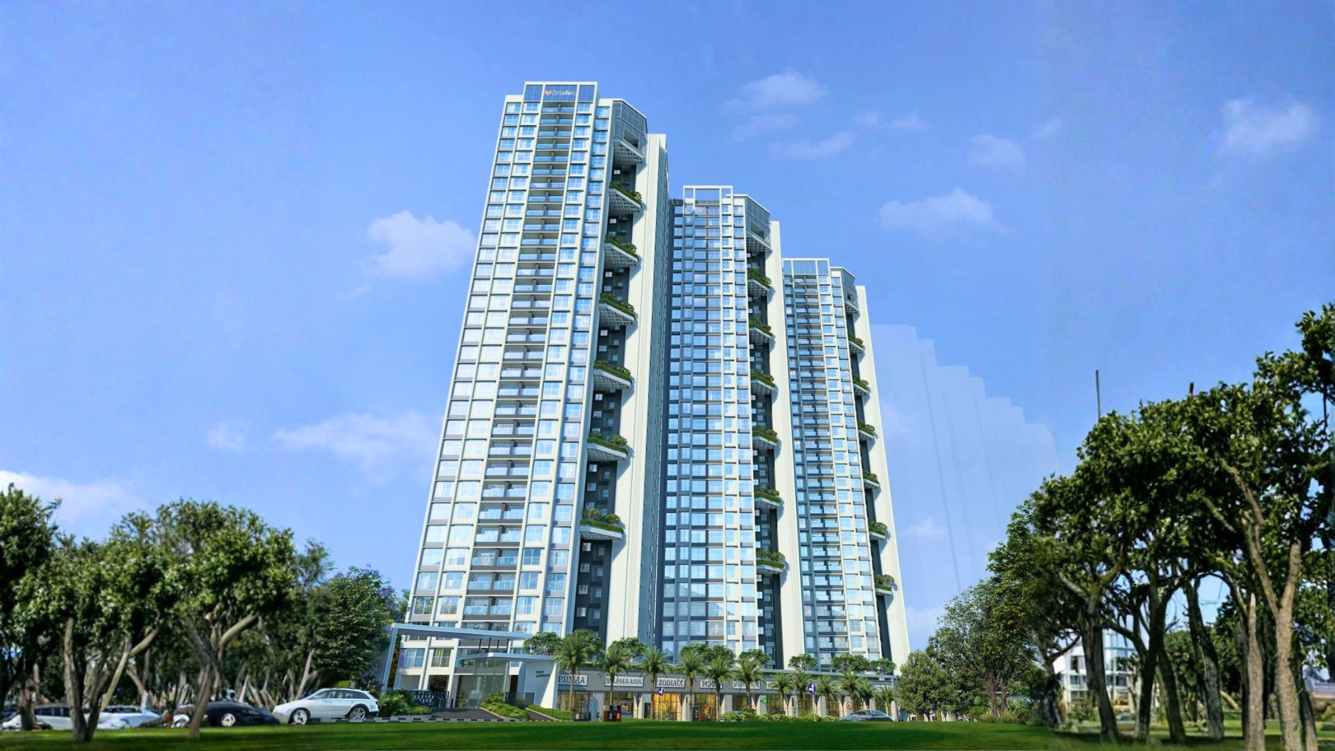 Property Media 1